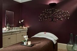 Spa and Fitness at Hanbury Manor Marriott Hotel & Country Club Logo